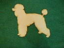 poodle standard